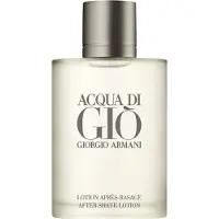 Giorgio Armani Acqua di Giò Homme After Shave After shave lotion 100 ml