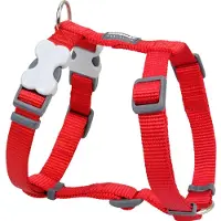 Red Dingo Smooth Hundsele