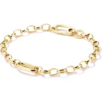 Thomas Sabo Charm Club Connect armband C1202-413-39-L17