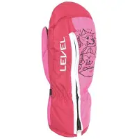 Level Dudy Gore-tex Handskar