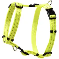 Rogz Classic Sj06 Hundsele
