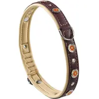 Ferplast Circus 20 Mm 44 Cm Hundhalsband