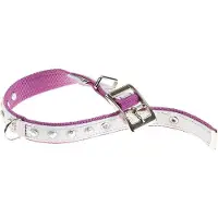Ferplast Dual 25 Mm 45 Cm Hundhalsband