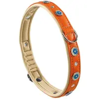 Ferplast Circus 20 Mm 34 Cm Hundhalsband