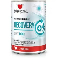 Disugual Recovery Diet Lamm 6x400g Våtfoder Hund