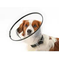 Kruuse Set 7.5-30 Cm Elizabethan Hundhalsband 7 Enheter