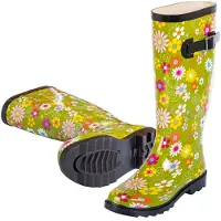 Stocker Blommor Regnstövlar