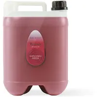 Iv San Bernard Ginseng 10l Schampo
