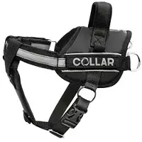 Collar Pet Dog Extreme Police Hundsele