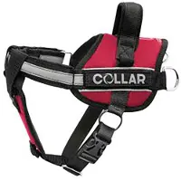 Collar Pet Dog Extreme Police Hundsele