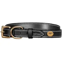 Dyon Flat Leather Hundhalsband