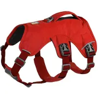Ruffwear Web Master Hundsele