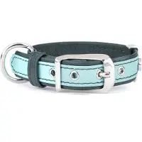 My Family Firenze Hundhalsband