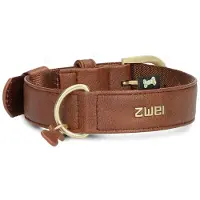 Zwei Leo Le15 Hundkoppel