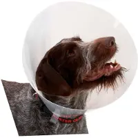 Buster K273395 Elizabethan Hundhalsband 10 Enheter