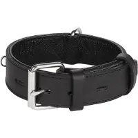 Flamingo Rondo Riveted Hundhalsband