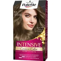 Sublime Market Connect PALETTE INTENSIVE teinture #6.1-blond cendré foncé 1 u
