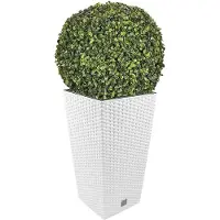 Wellhome Rato 55l S Set Blomkruka 2 Enheter