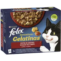 Purina Felix Sensations Flavors Feast 12x85g Kattmat 6 Enheter
