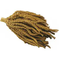 Bradium Enheter Panizo-hirs På Gren Franska 15 Kg