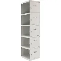 Simonlocker Montadas Prof.dism.1/5 300 Adi Skåp 1800x300x500 Mm