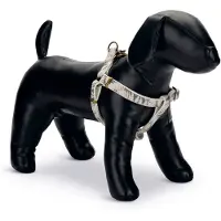 Designed By Lotte Oribo Hundsele