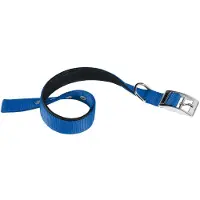 Ferplast Nylon Daytona C 40 Mm 63 Cm Hundhalsband