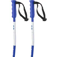 Salomon S/race Sg Juniorstavar