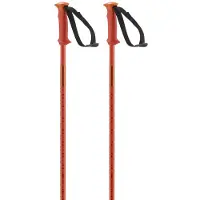 Salomon Polar Stavar
