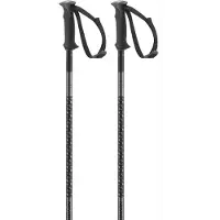 Salomon Polar Stavar