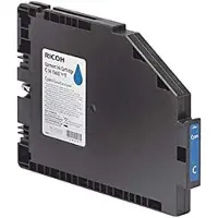 Ricoh Imaging Bläckpatron För Plagg 257064 Typ 1