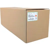 Ricoh Imaging D2960123 Skrivartrumma