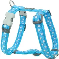 Red Dingo Style Star Hundsele