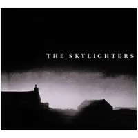Proper S&D Consignment Skylighters: Skylighters