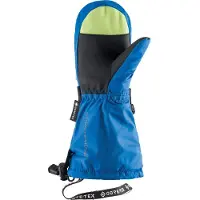 Viking Nomadic Gore-tex Vantar
