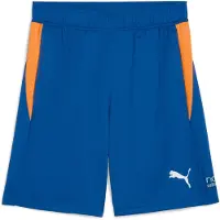 Puma Individual Training Shorts