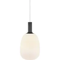 Nordlux Alton 23 47303001 Pendellampa E27 60 W Opal