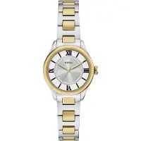 Fossil Analog klocka 'GILMORE' guld / silver