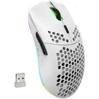 HxSJ T66 RGB 2.4G trådlös spelmus RGB Lighting Laddningsmus med justerbar DPI Ergonomisk vit
