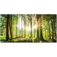 DIMENGQI Soluppgång Skog Väggkonst Dukmålning Modern Naturligt landskap Affischer och tryck Väggbilder för vardagsrum Heminredning 50x100cm