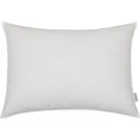 Hoie Hotellkudde - Extra stor och fyllig dunkudde - 70x100 cm -