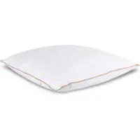 Borg Living Huvudkudde med myskdun - "mellan" - 60x63 cm - 3 kammarskudde -