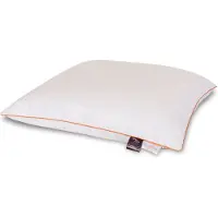 Zen Sleep Myskdunskudde - Låg huvudkudde - 50x60 cm - 3-kammars huvudkudde -