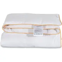 Borg Living Baby sommartäcke - Gåsdunstäcke - Lätt och sval - Allergivänlig - 70x100 cm -