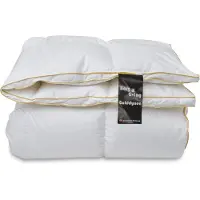 Borg Living Lyxigt vintertäcke - 100% gåsdunstäcke - 200x220 cm - Gulddynen