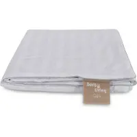 Borg Livinig Sommarsilkedyne - 100% Mulberry-silkefyllning - Temperaturreglerande sommardyna - 150x210 cm -
