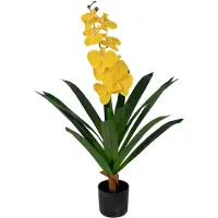 Home-tex Konstgjord orkidé - 80 cm - Enkelgrenade gula blommor - Konstgjord blomma i svart kruka
