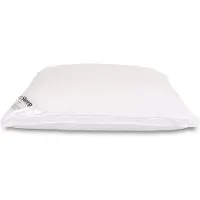 Zen Sleep Dunfiberkudde - Allergivänlig huvudkudde - 50x70 cm - Mellan -