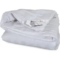 Butterfly Silk Vinter silketäcke - 100% mullbärssilke - 140x220 cm -