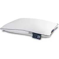 Nordic comfort Sidenkudde - "Mellan" kudde - Långfibrigt siden - Superior - 50x70 cm -